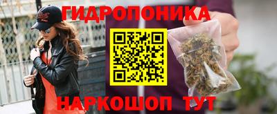 spice Будённовск