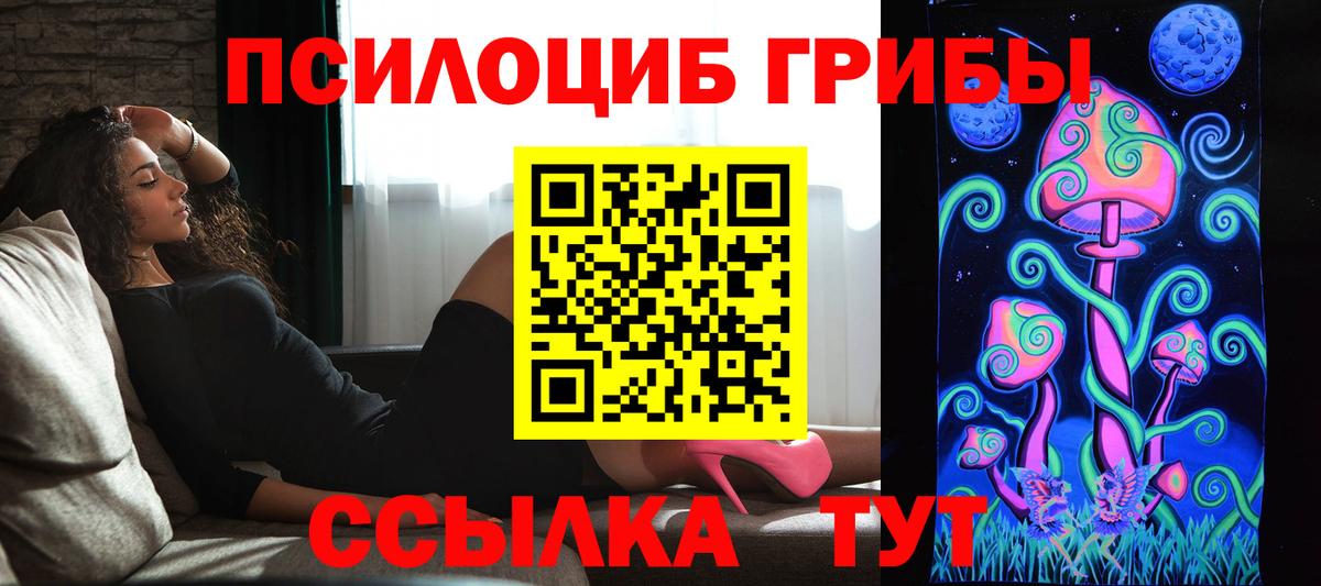 Пыть-Ях  Псилоцибиновые грибы прущие грибы  Вход с VPN 
